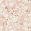 Ardisia 112772